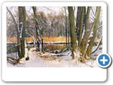 Schnee am Fluss